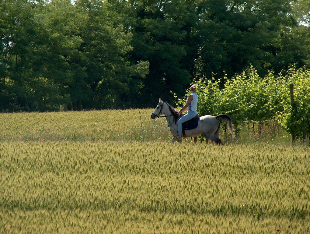 Agriturismo Le Fornase Castelnuovo del Garda Extérieur photo